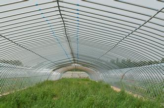 ���̰���