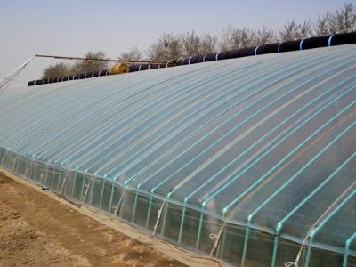 ���̰���