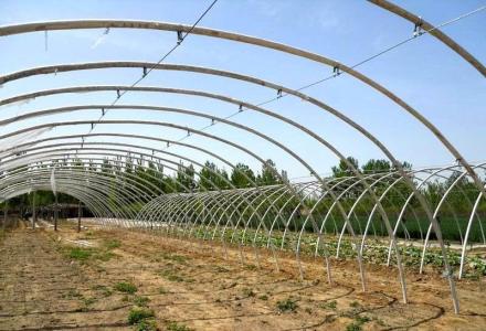 ���̰���