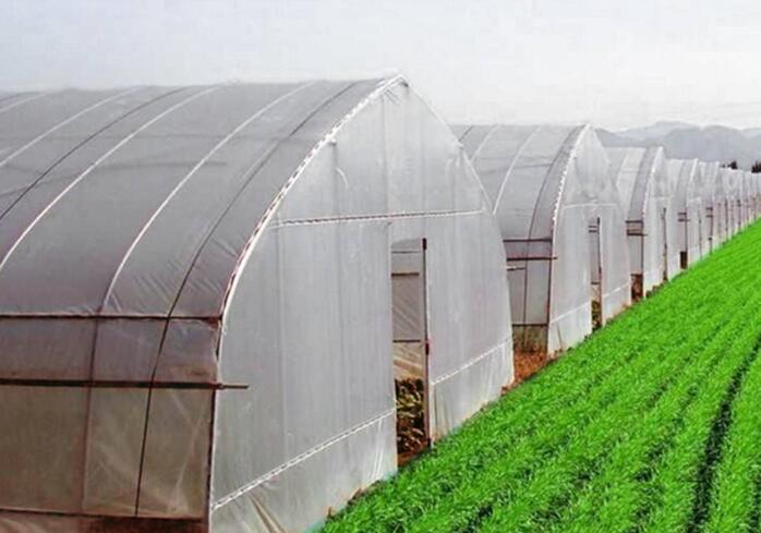 ���̰���