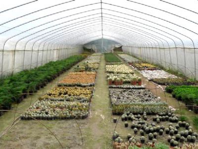 ���Ҵ���