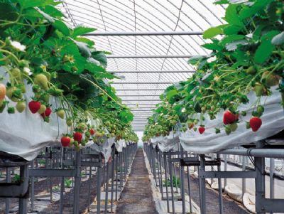 ���Ҵ���