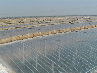 ���Ҵ���